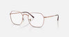 FRAME RAY BAN/RB3694V/3094/51-20-140