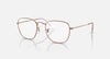 FRAME RAY BAN/RB3857V/3094/51-20-145