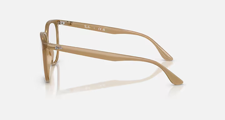 FRAME RAY BAN/RB4378V/8412/52-16-145