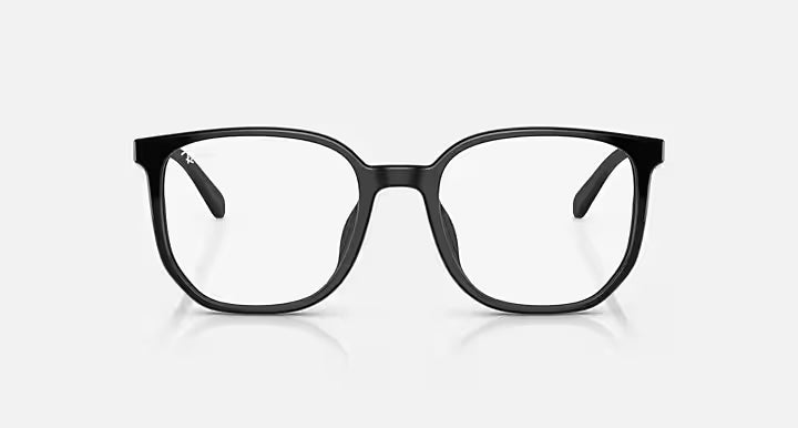 FRAME RAY BAN/RB5411D/2000/54-20-145