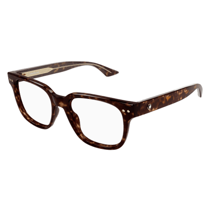 FRAME MONT BLANC/MB0321O/002/53-19-150