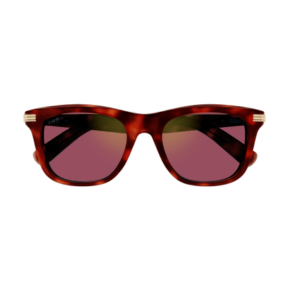 SUNGLASS CARTIER/CT0396S/003/53-20-145