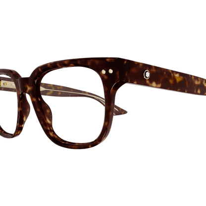 FRAME MONT BLANC/MB0321O/002/53-19-150