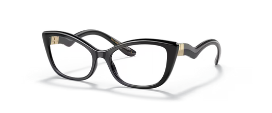 FRAME DOLCE & GABBANA/DG5078/501/53