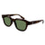 SUNGLASS MONT BLANC/MB0175S/002/50-21-145