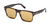 SUNGLASS TOM FORD/TF1205/56E/55-17-145