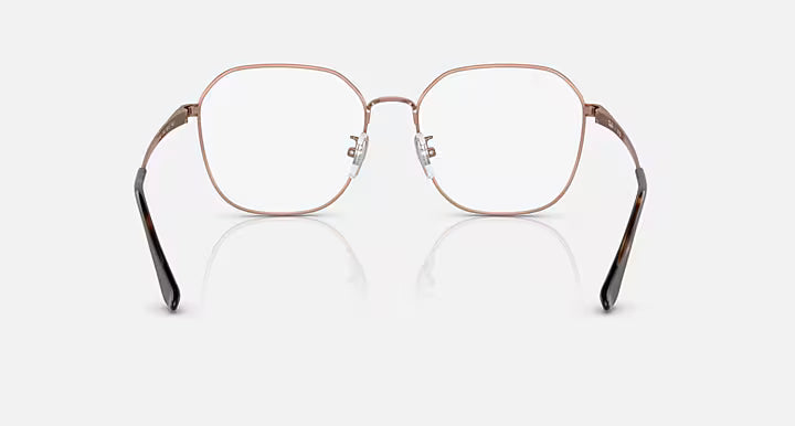 RAY BAN/RB6490D/2943/56-17-145